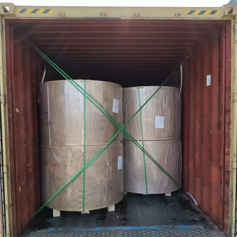 Pe Coated Cupstock Board